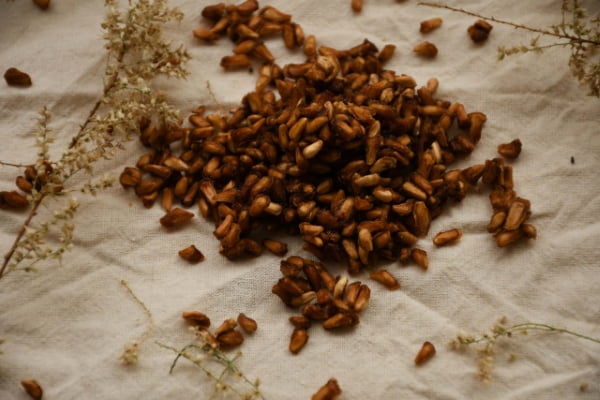 تصویر 4 از راهنمای خرید دانه انار خشک شده + قیمت عالی